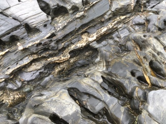 4DD28631-9B19-457E-A8BD-0E0C5634559A