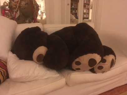 PC 172 10 Boris in hibernation